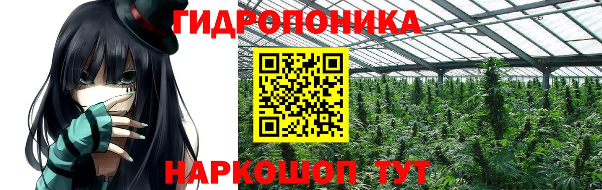 ГАШ  LSD-25  Меф   Экстази  Марихуана  Людиново  Cocaine  Вход с VPN 